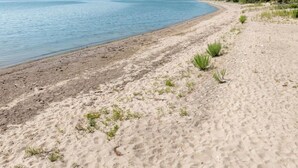 A sandy beach with sparse vegetation and a calm sea. - Daybreak Shores – Lake Michigan Retreat – Walkout Beach, Deck & Bonfire Pit (Sturgeon Bay)