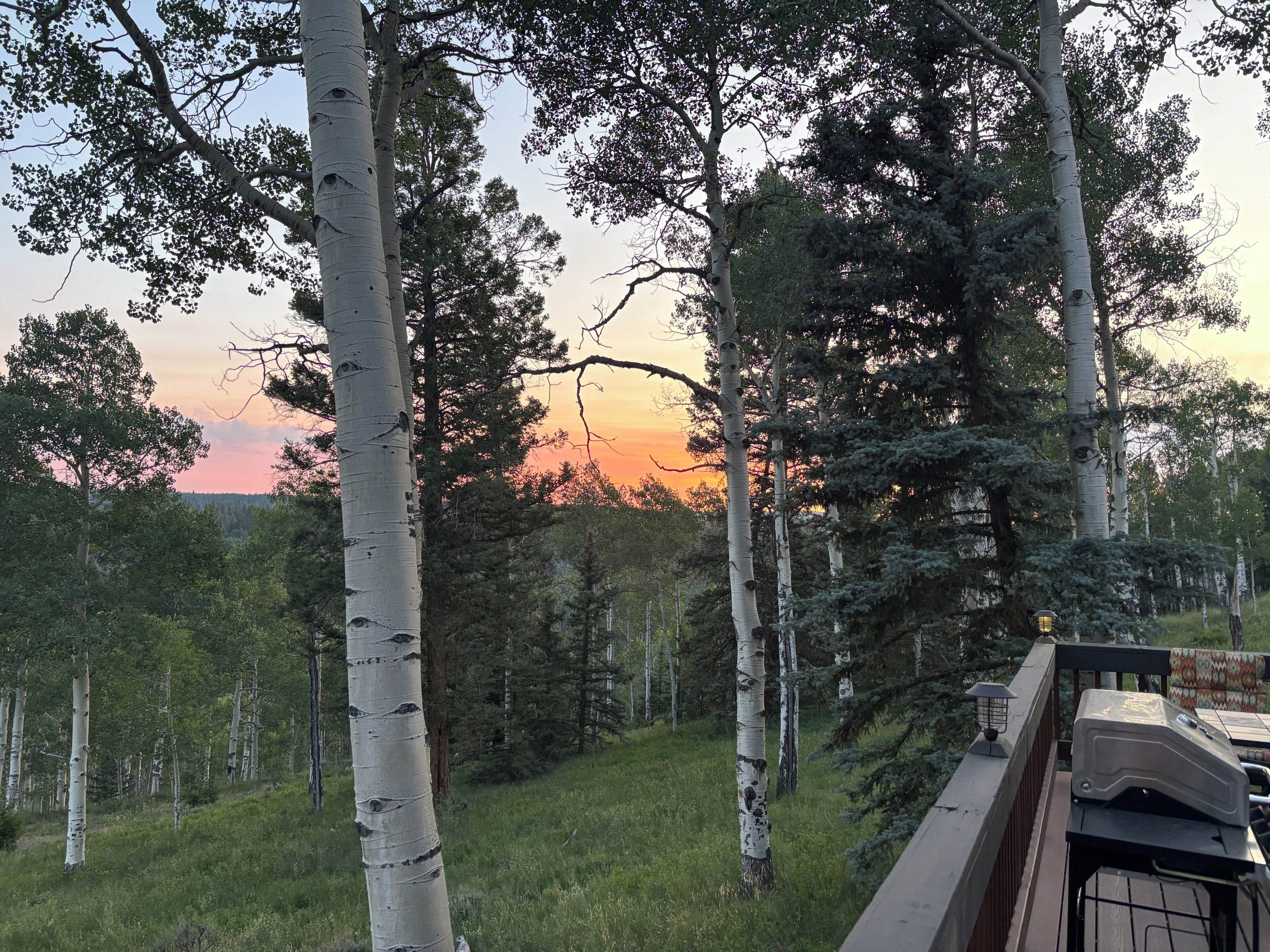 Terrain de l’hébergement 