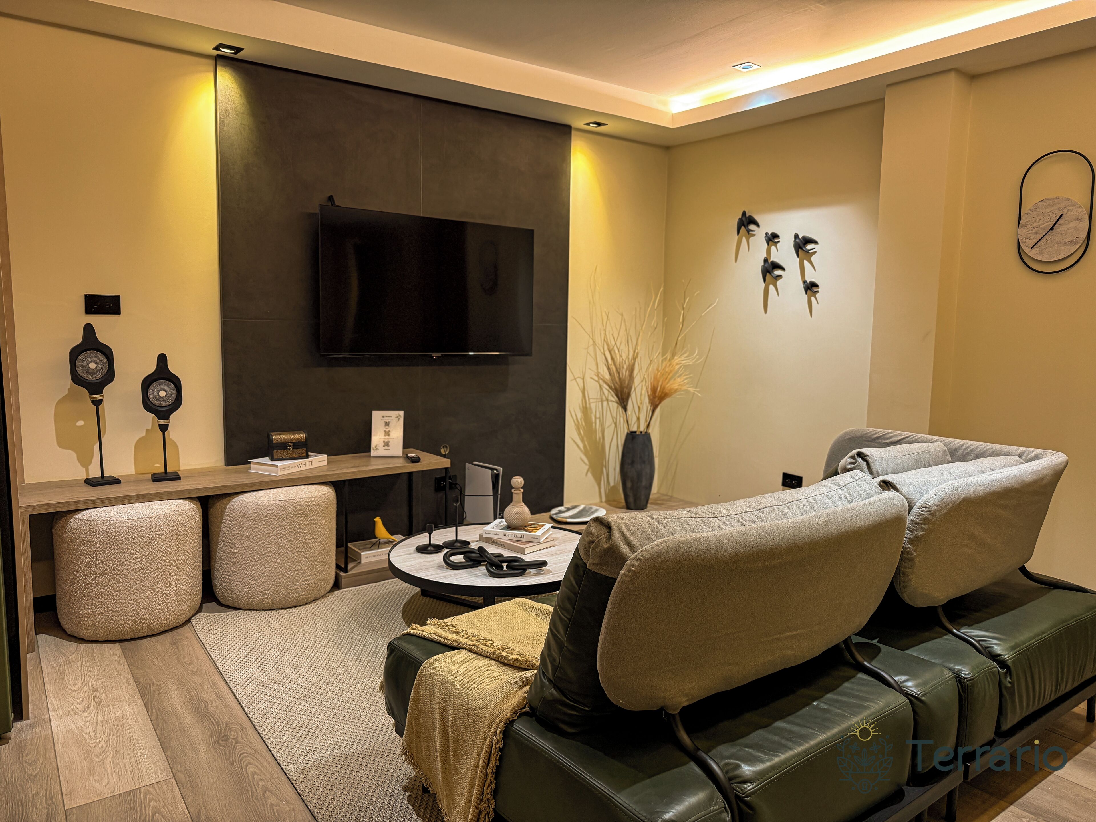 Luxury Apartment | Living area | 55-inch flat-screen TV with digital channels