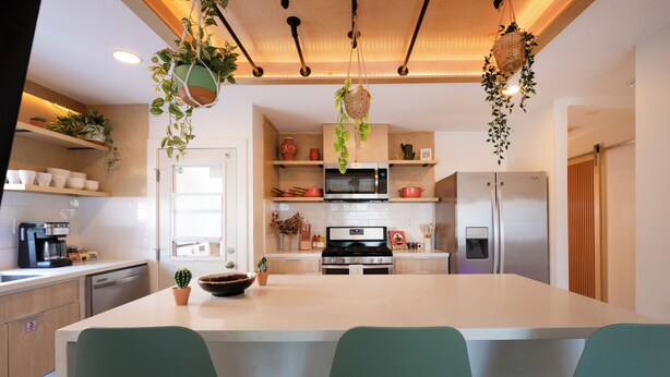 A modern kitchen with a central island, stainless steel appliances, and hanging plants.