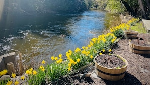 A river with a wooden walkway and flower beds with yellow flowers. - Boardman Monarch River HOT TUB Fireplace (Traverse City)