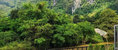 Grand Villa | View from room