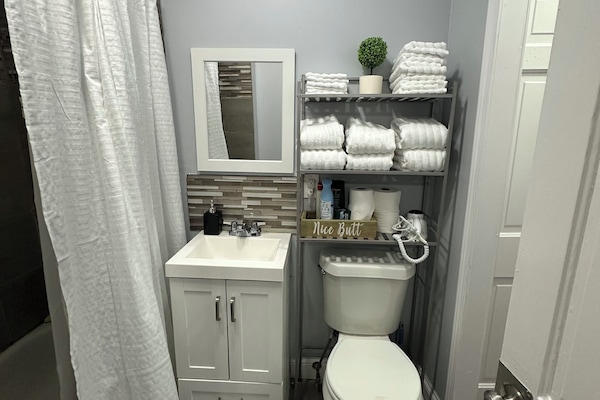 Hair dryer, towels, soap, toilet paper