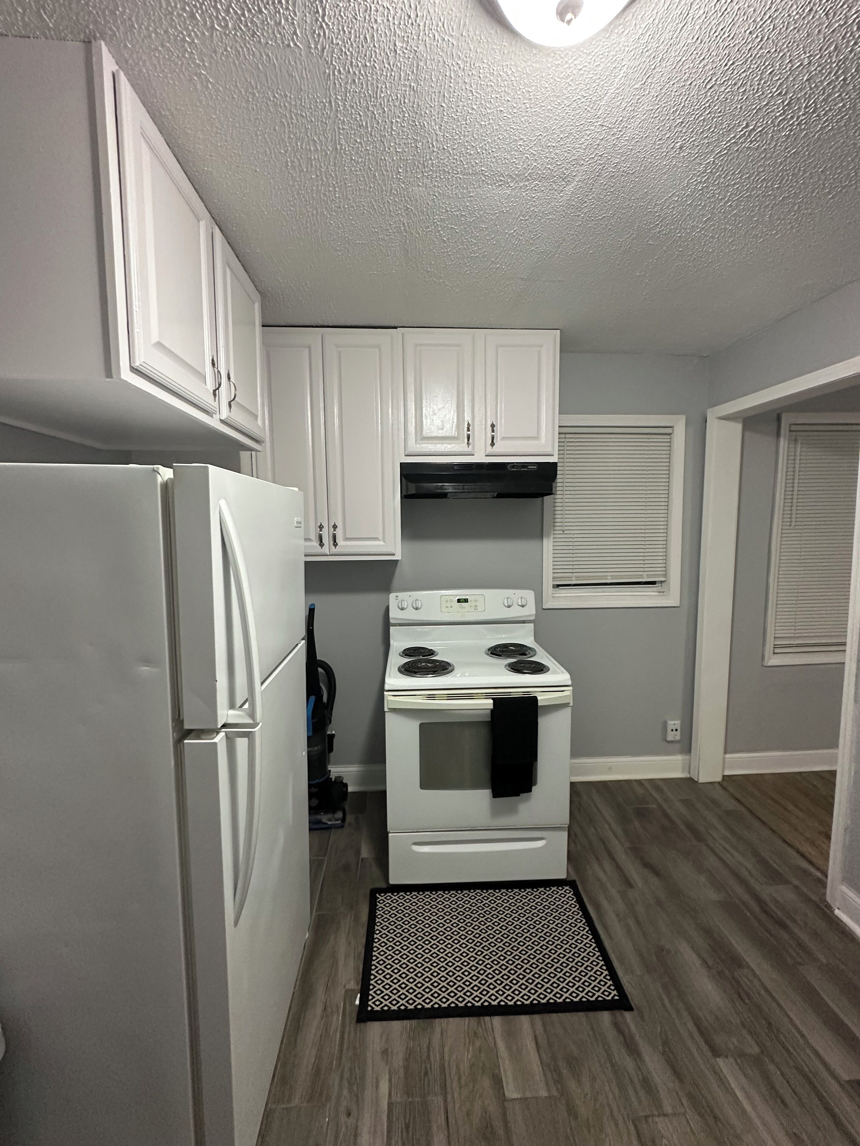 Fridge, microwave, stovetop, electric kettle