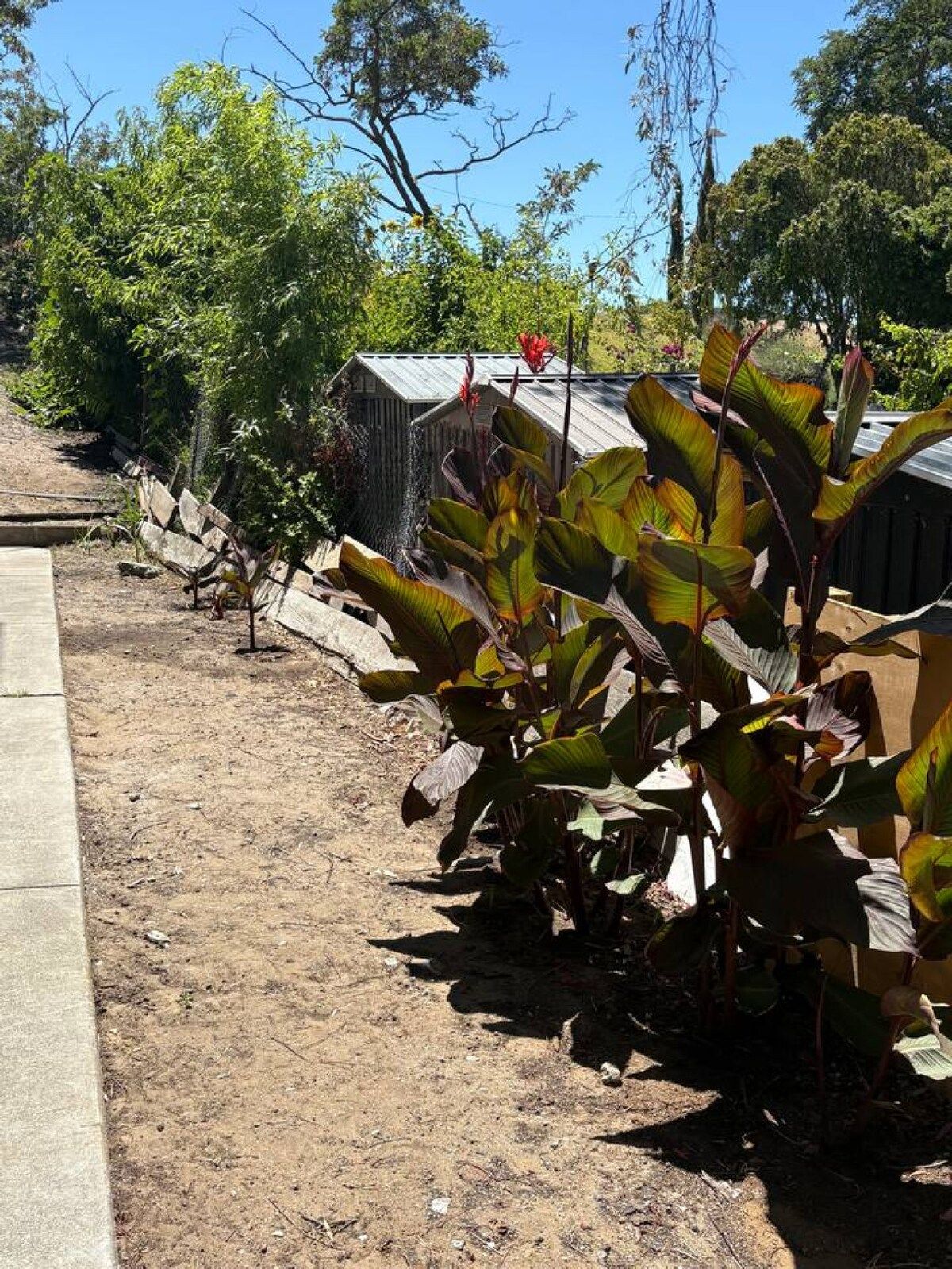 Un espace jardin comprenant un sentier de terre, une clôture en bois et diverses plantes.