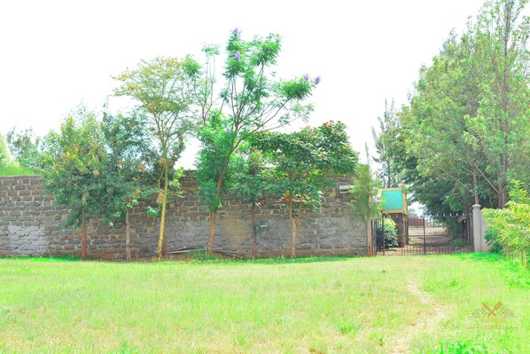 Jardí