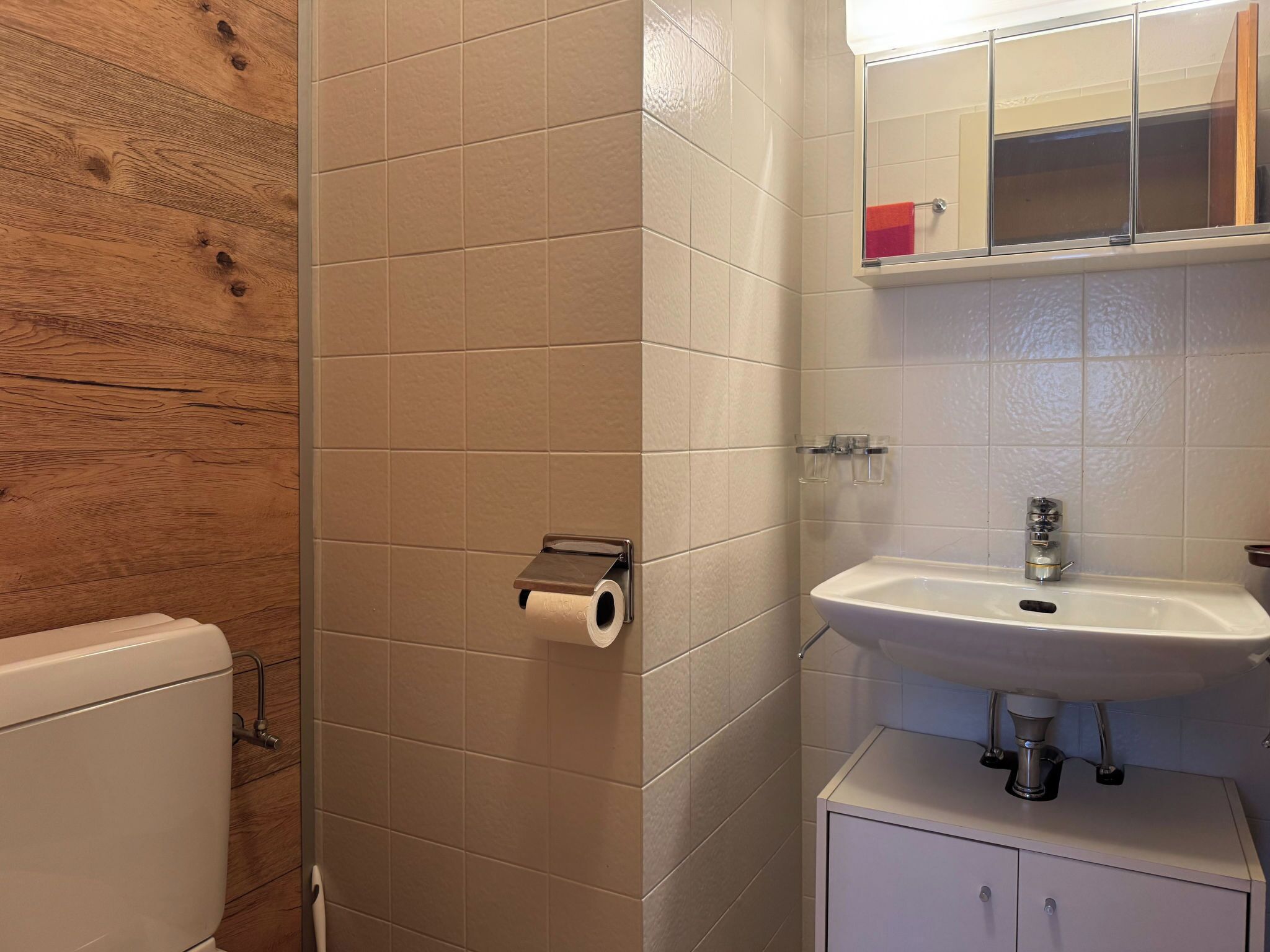 A bathroom with a toilet, a sink, and a mirror.