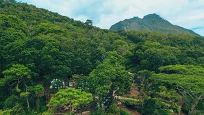 A lush, green forested area with a mountain in the background. - Matahom Forest Glamping Tent 1 (Mambajao)