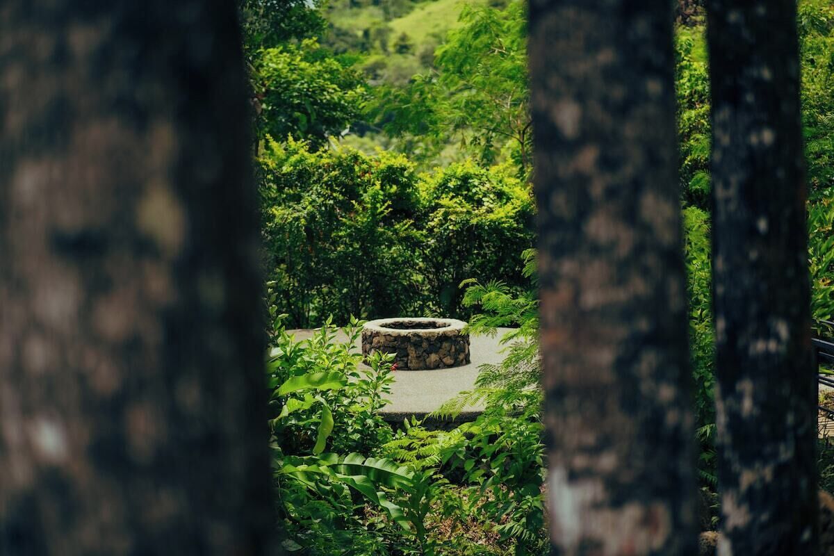 A circular stone structure surrounded by lush greenery.