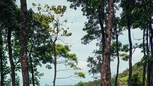 A concrete staircase leading up to a circular viewing platform surrounded by trees and greenery. - Matahom Forest Glamping Tent 1 (Mambajao)