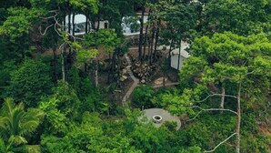 A lush, green forested area with a clear path leading to a building. - Matahom Forest Glamping Tent 1 (Mambajao)