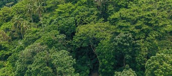 Matahom Forest Glamping Tent 1