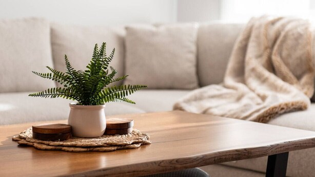 Una mesa de centro de madera con un helecho en maceta y dos posavasos de madera.