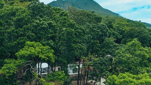 A lush green landscape with a mountain in the background, a pathway leading to a building, and dense foliage. - Matahom Forest Glamping Tent 2 (Mambajao)