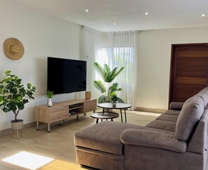 TV