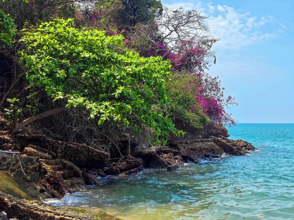 Una costa rocosa con aguas cristalinas, follaje verde exuberante y flores rosadas.