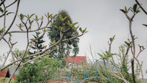Een tuinpad leidt naar een gebouw met een rood dak, omgeven door weelderige begroeiing en een decoratieve metalen boog.
