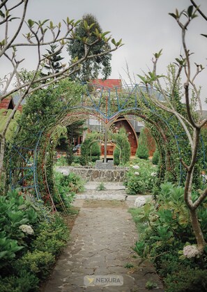 Trädgård