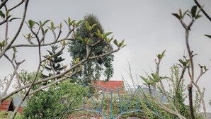 Un sendero en un jardín conduce a un edificio de techo rojo, rodeado de abundante vegetación y un arco metálico decorativo.