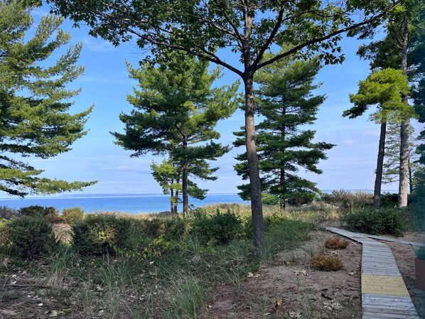 Un sendero costero con pinos y una pasarela de madera que conduce al mar.