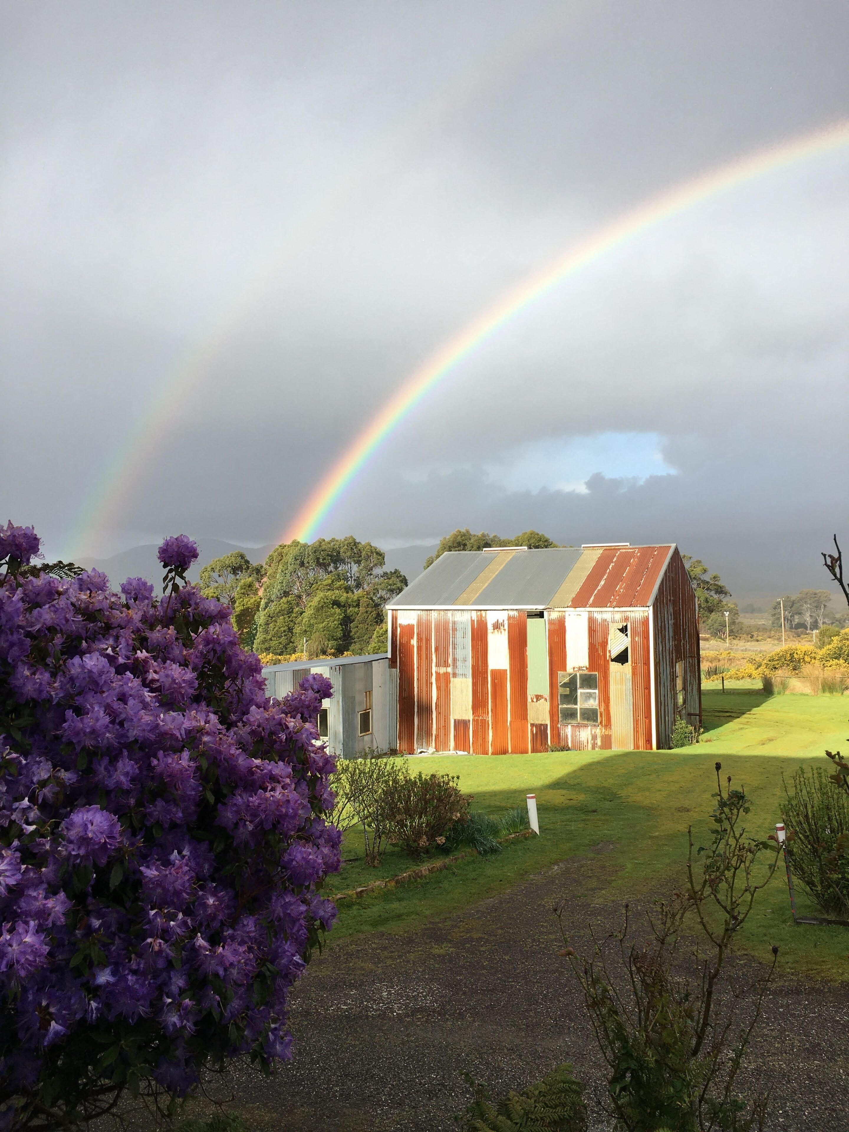 A rustic barn with a sloped roof, surrounded by a well-maintained grassy area and purple flowers.