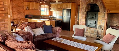 TV, fireplace, books