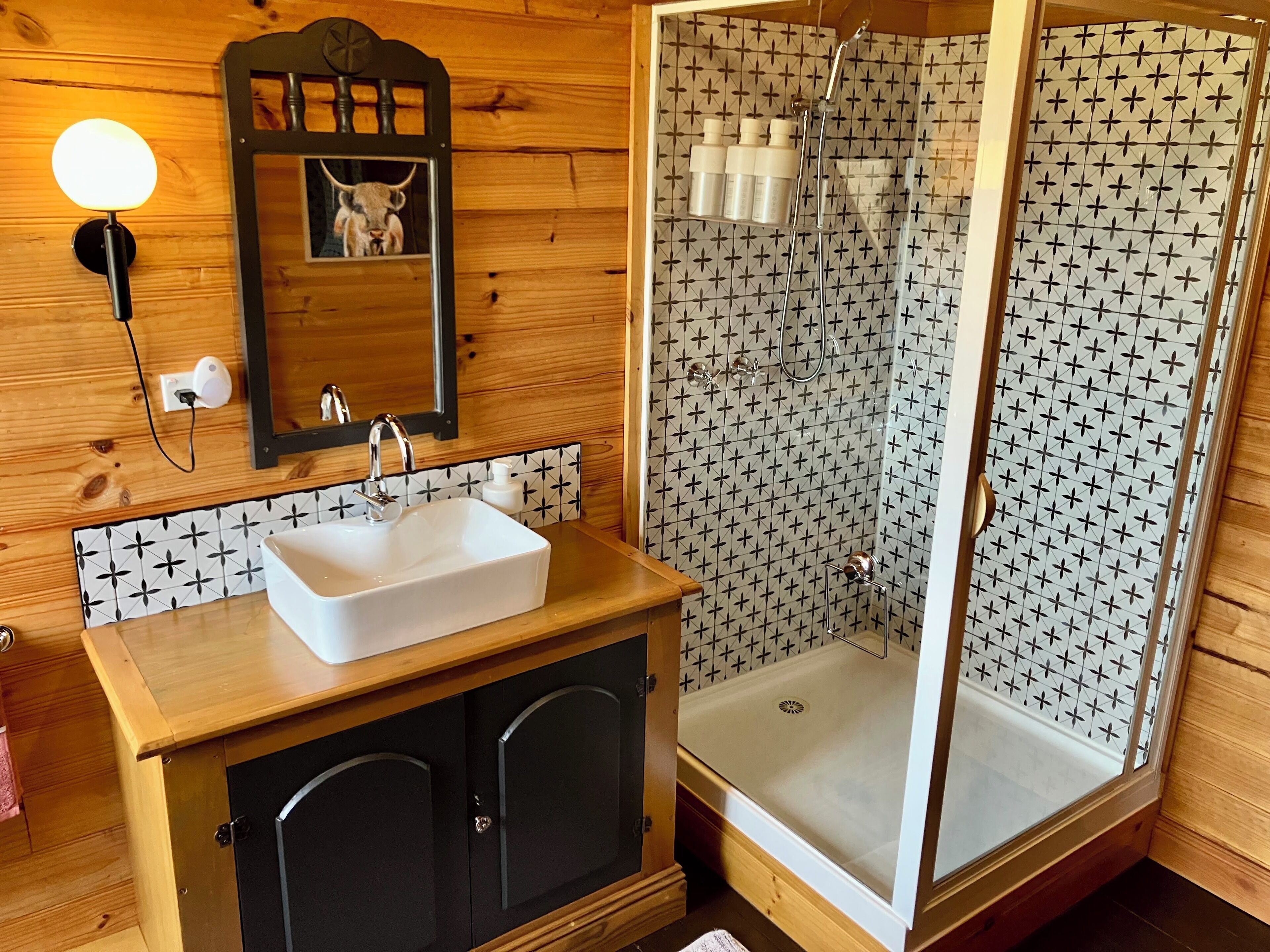 A wooden cabin bathroom with a white sink, a mirror, and a shower with patterned tiles.