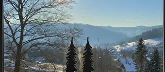 Apartment in the Thuringian Forest with garden