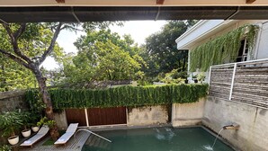A small outdoor pool with steps leading down to it, surrounded by potted plants and a wooden fence. - Baron's antiquarian villa (Kochi)