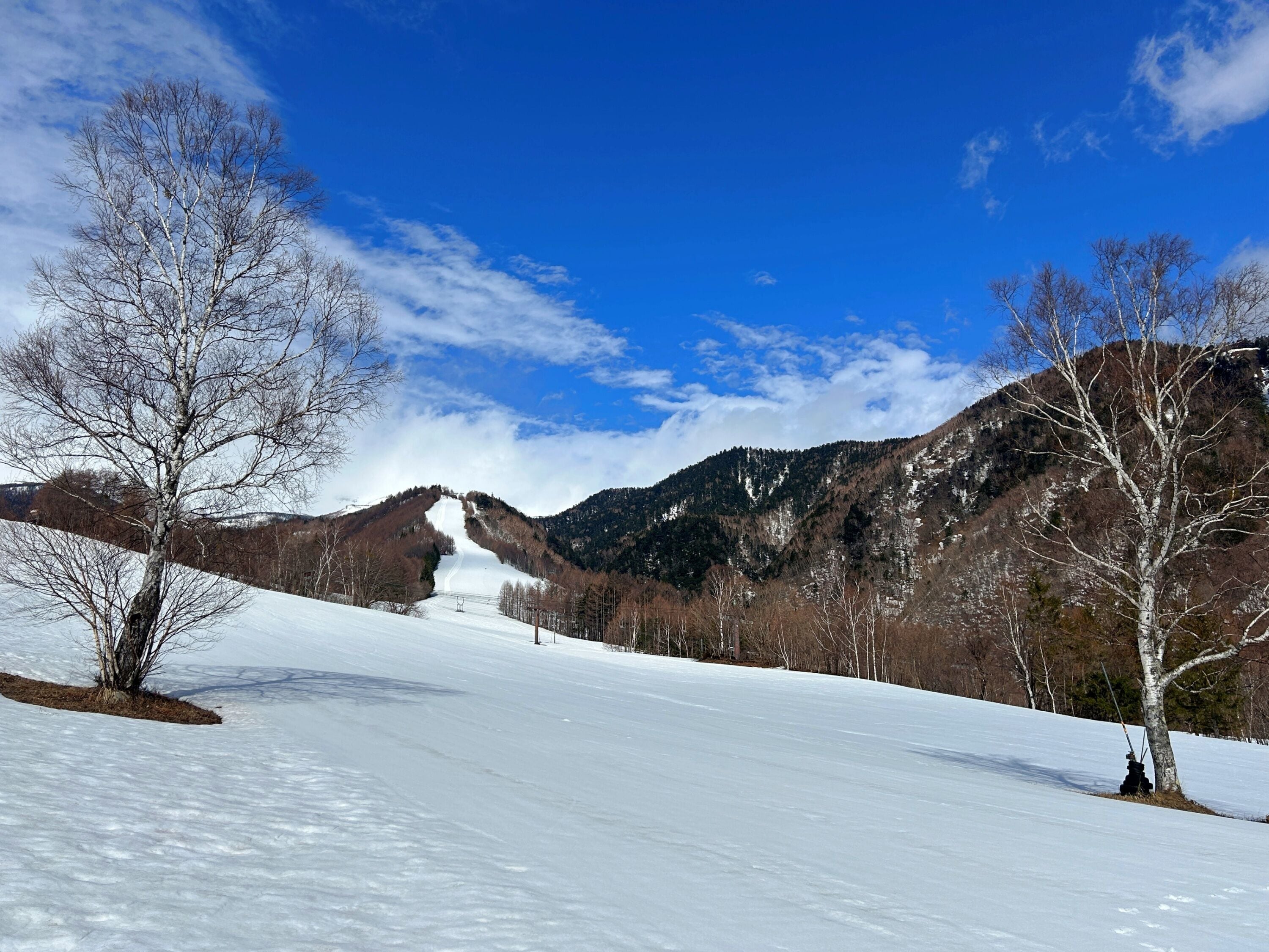 A snowy landscape with a clear sky, a mountain in the background, and leafless trees.