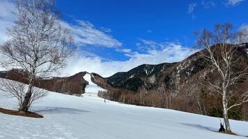 A snowy landscape with a clear sky, a mountain in the background, and leafless trees.