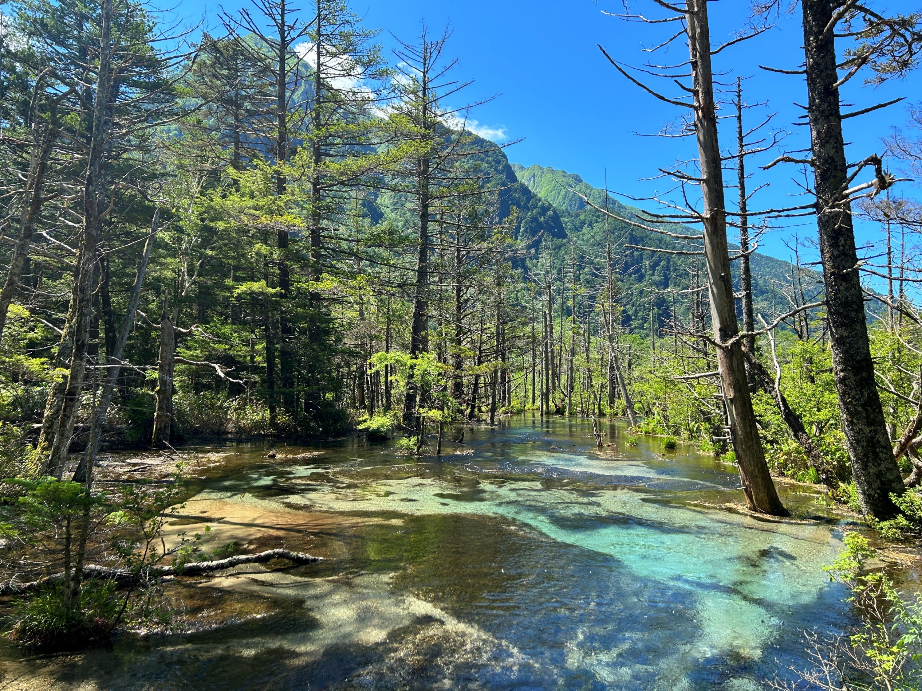Une zone boisée avec un plan d’eau aux eaux claires, entourée d’arbres et de montagnes.