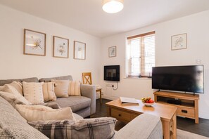 TV, fireplace, books