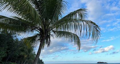 New, air conditioned, beach, rainforest,cassowary, goanna ,beach cafe, king bed