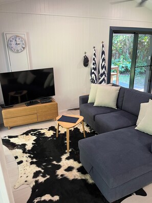 Smart TV, DVD player, books