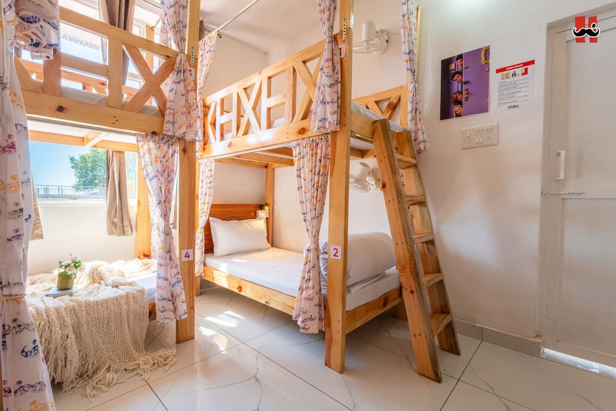 A bunk bed room with a wooden ladder, a small table with a plant, and a window with curtains.