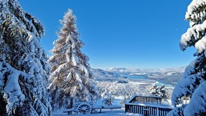 Schneebedeckte Landschaft mit einem großen immergrünen Baum und einer Holzhütte.