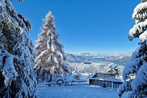 Un paysage enneigé avec un banc et une structure en bois, vraisemblablement une cabane, entourés d’arbres chargés de neige.
