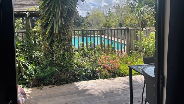 Une vue d’une cour arrière avec une terrasse en bois, une piscine et diverses plantes.