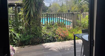 Warkworth lifestyle farm with pool, easy access to towns, beaches, walks