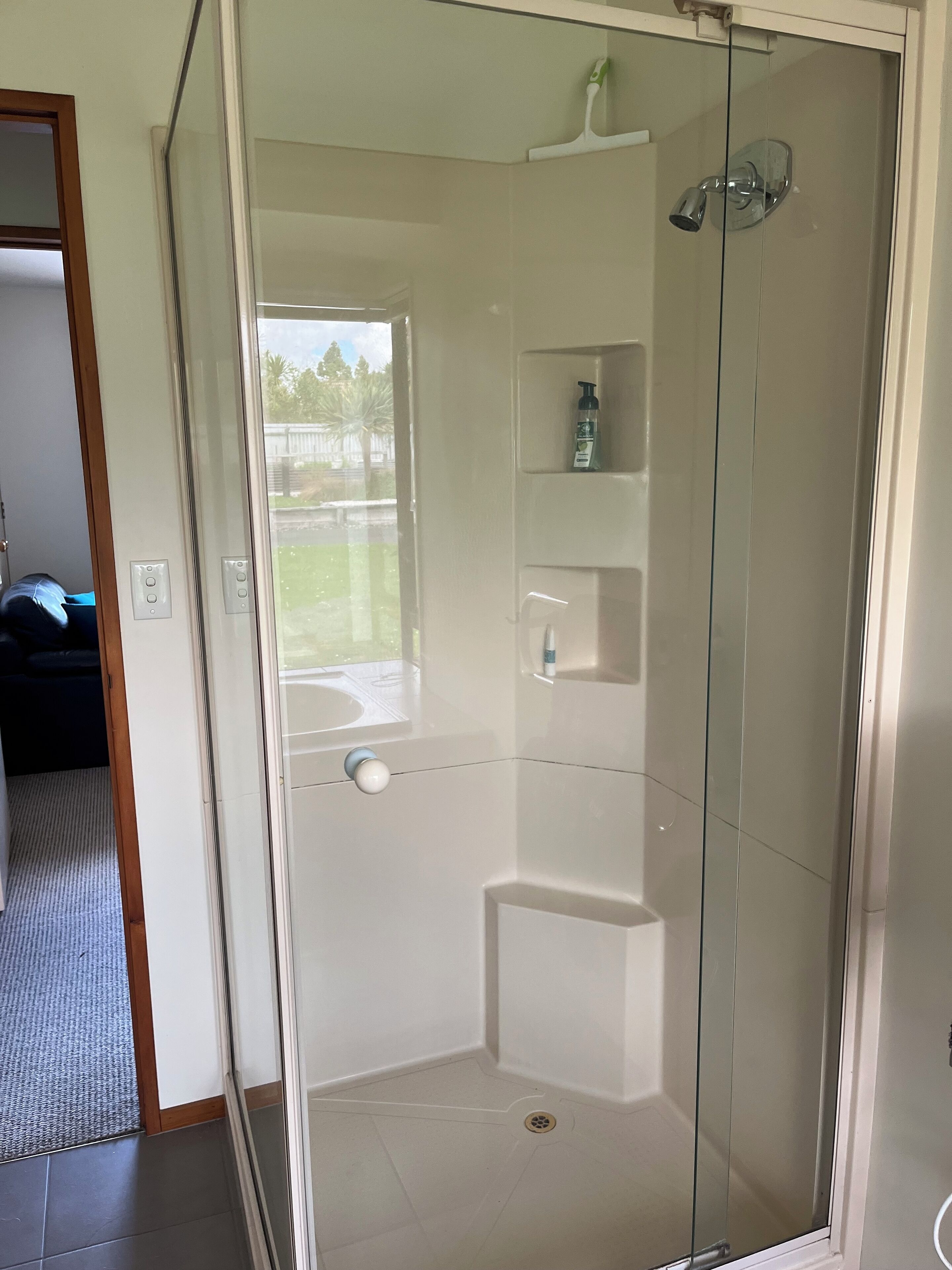 Ducha con paredes de vidrio y interior blanco, un estante pequeño con artículos de aseo y vista al patio trasero por la puerta.