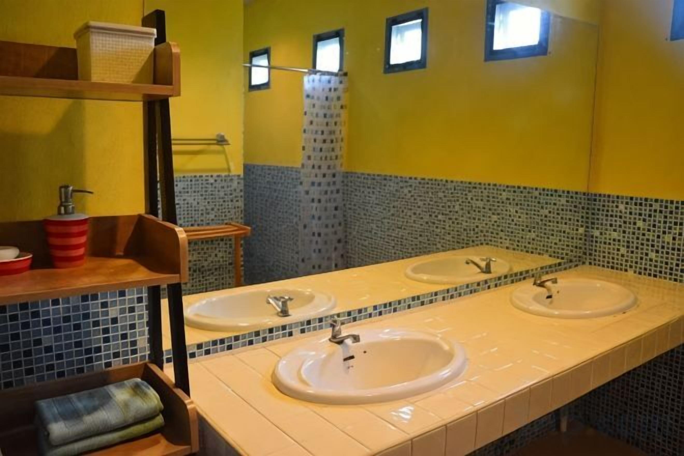 A bathroom with two sinks, a shower, and a mirror.