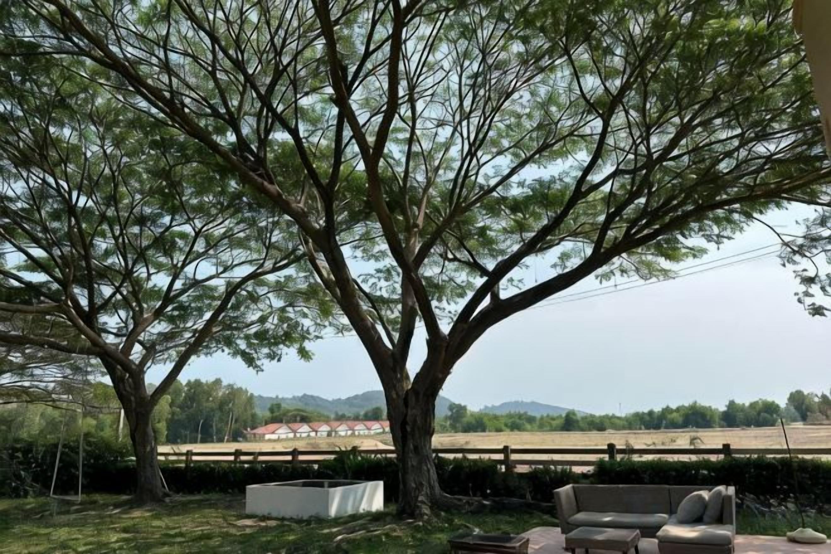 Un espacio al aire libre bordeado de árboles, con vistas a un edificio lejano y colinas.