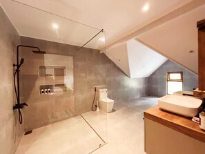 Shower, hair dryer, towels