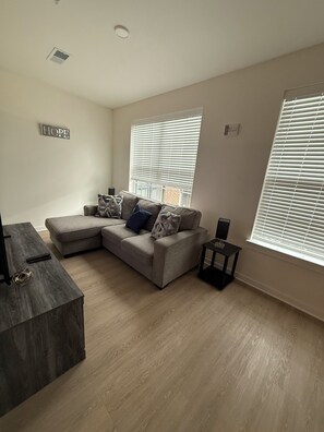 Smart TV, fireplace, books