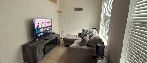 Smart TV, fireplace, books