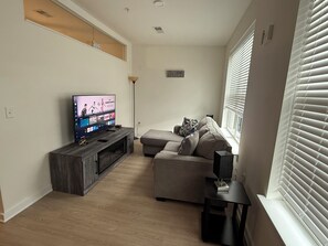 Smart TV, fireplace, books