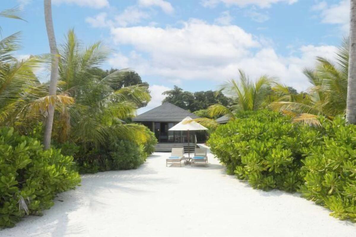 A pathway leading to a building surrounded by lush greenery and palm trees.