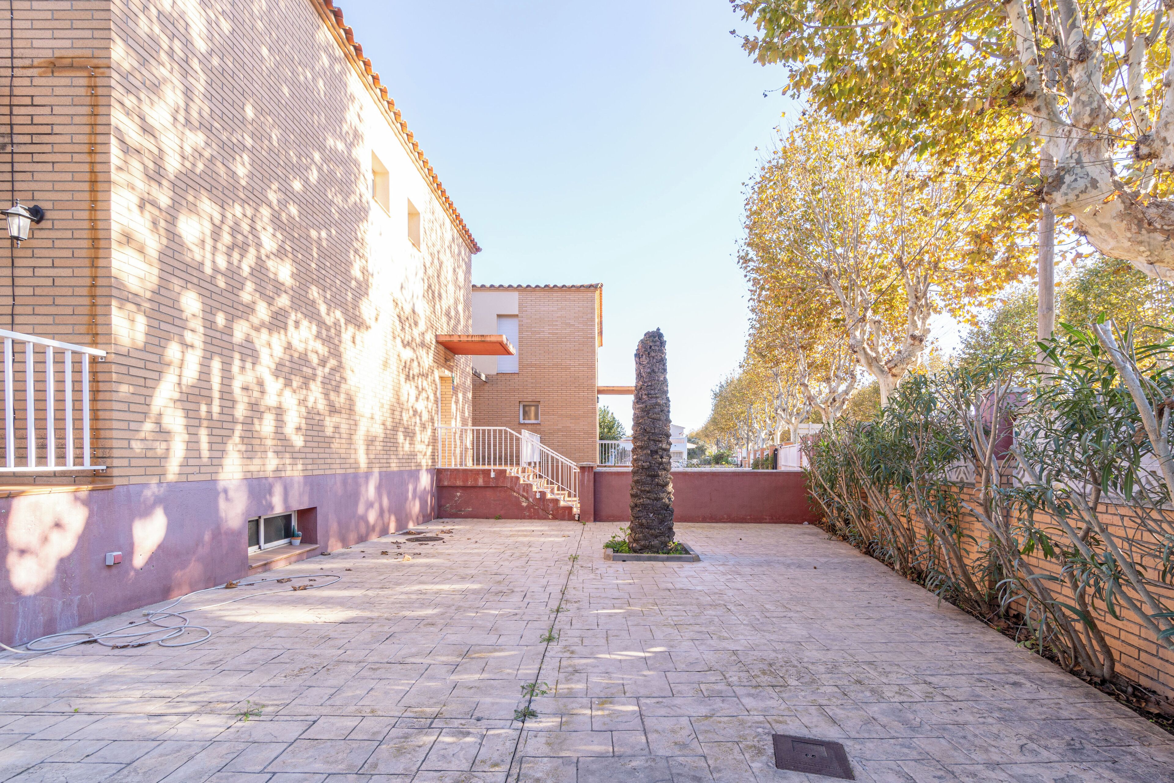 A courtyard with a brick building, a palm tree, and a clear sky.