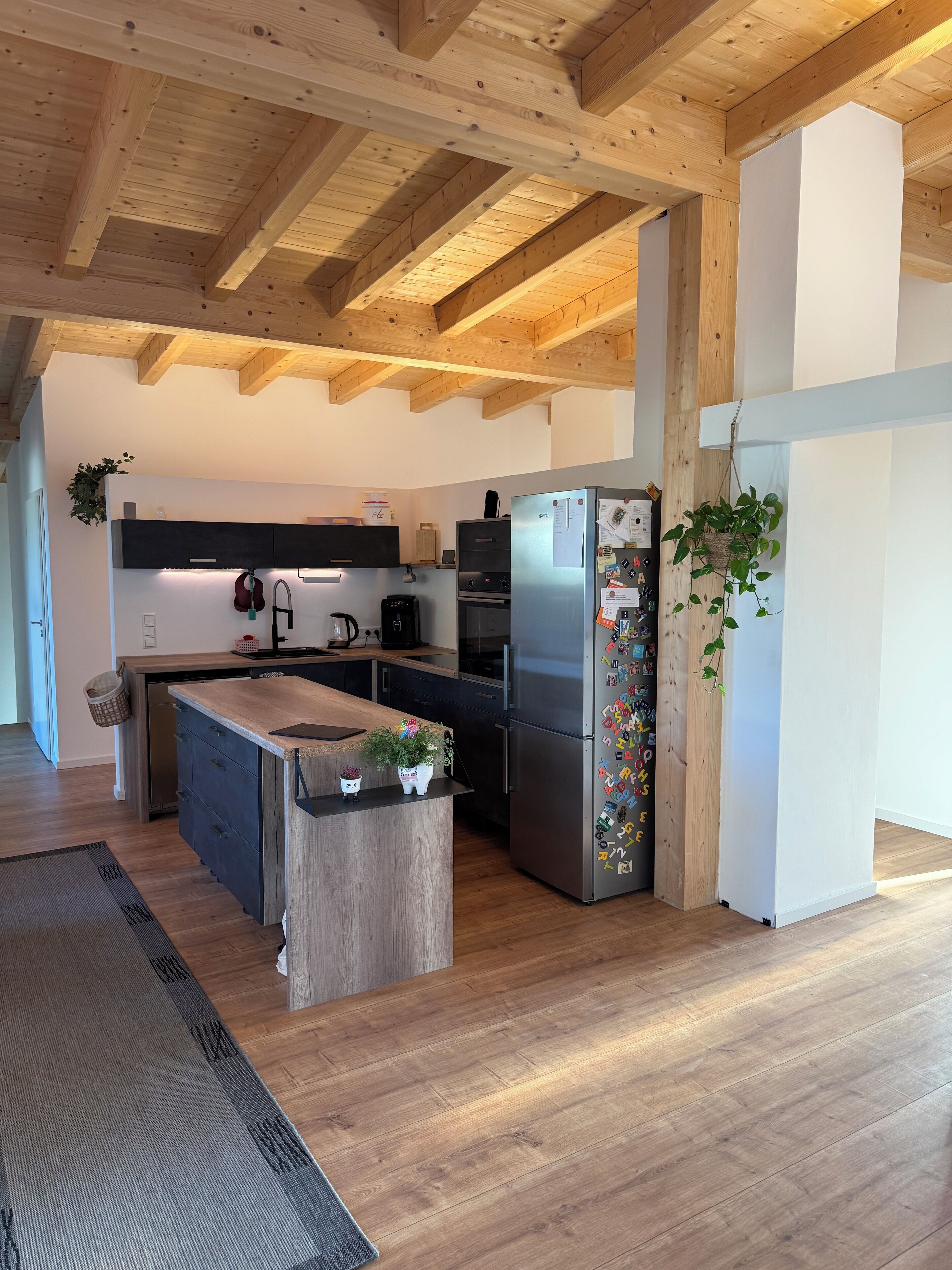 Oven, stovetop, dishwasher